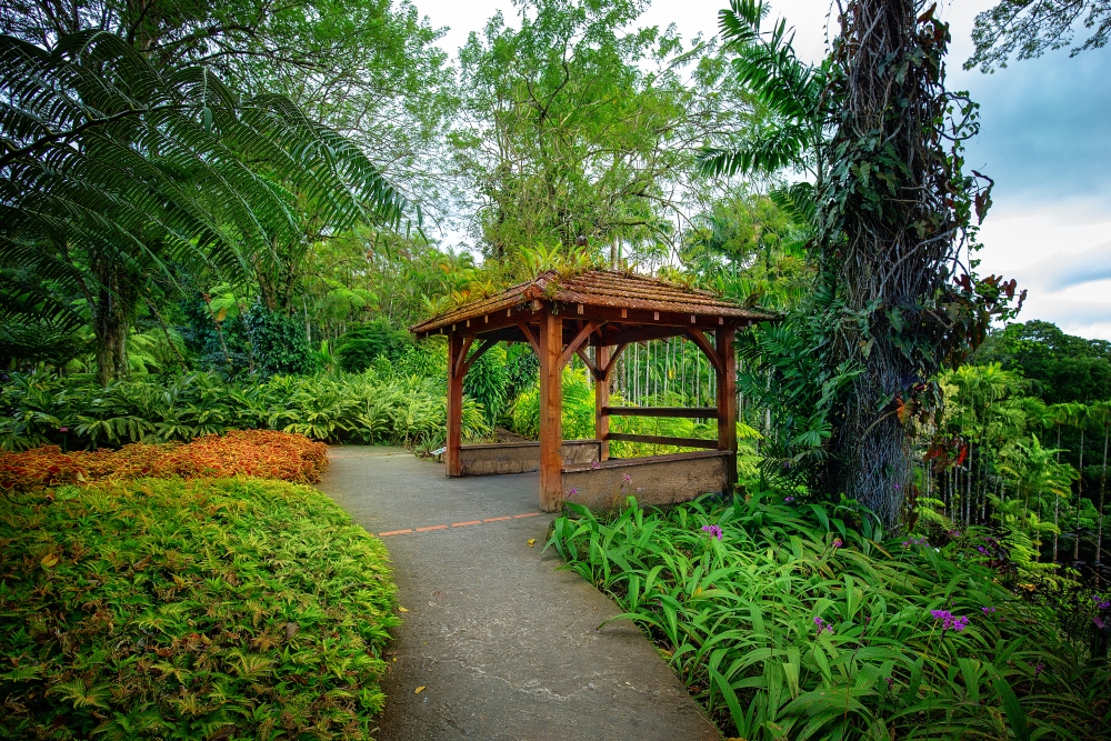 Botanická zahrada Jardin de Balata, Fort-de-France, Martinik