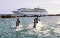 Adventure of the Seas - Royal Caribbean International - tři skákající delfíny ve vodě